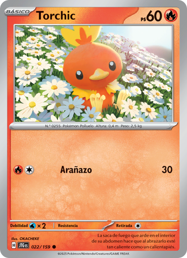 Torchic 022 — Journey Together (Spanish Pokémon TCG card)