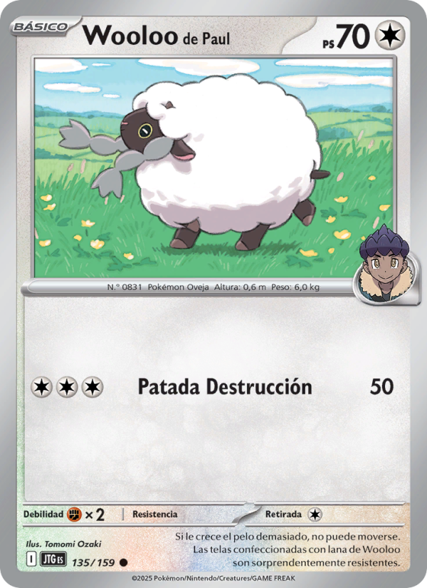 Wooloo de Paul 135 — Journey Together (Spanish Pokémon TCG card)