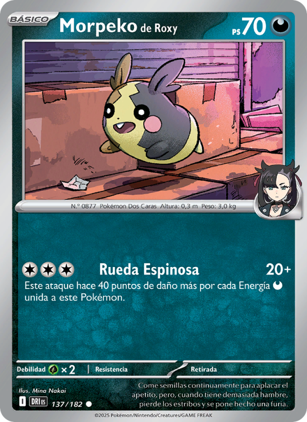 Morpeko de Roxy 137 — Destined Rivals (Spanish Pokémon TCG card)