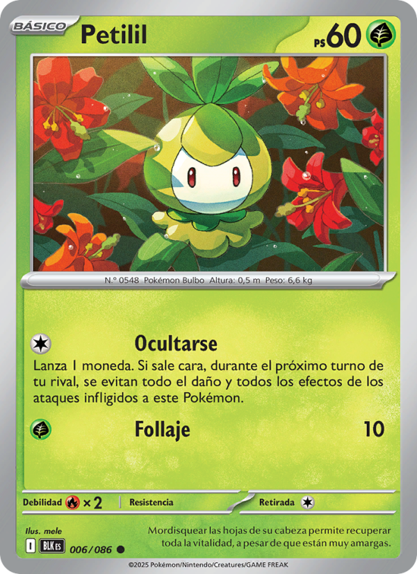 Petilil 006 — Schwarze Blitze (Spanish Pokémon TCG card)