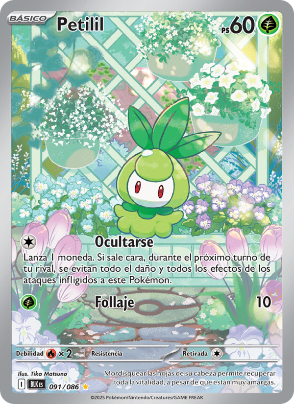 Petilil 091 — Schwarze Blitze (Spanish Pokémon TCG card)