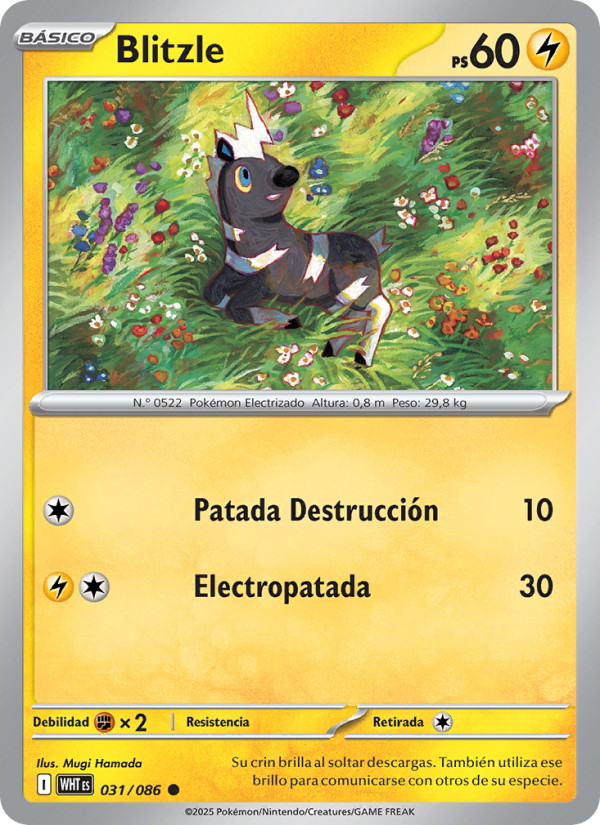 Blitzle 031 — Weiße Flammen (Spanish Pokémon TCG card)