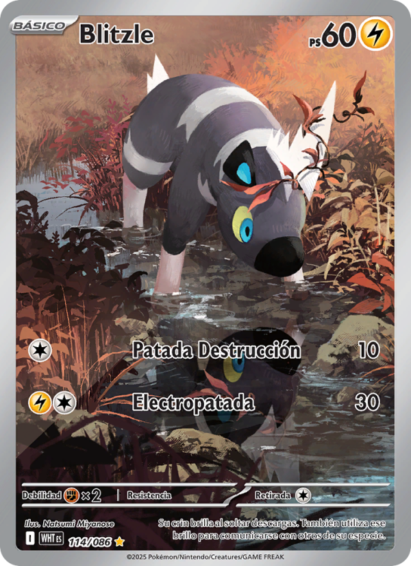 Blitzle 114 — Weiße Flammen (Spanish Pokémon TCG card)