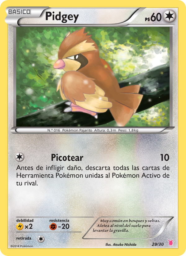 Pidgey 29 — XY trainer Kit (Wigglytuff) (Spanish Pokémon TCG card)