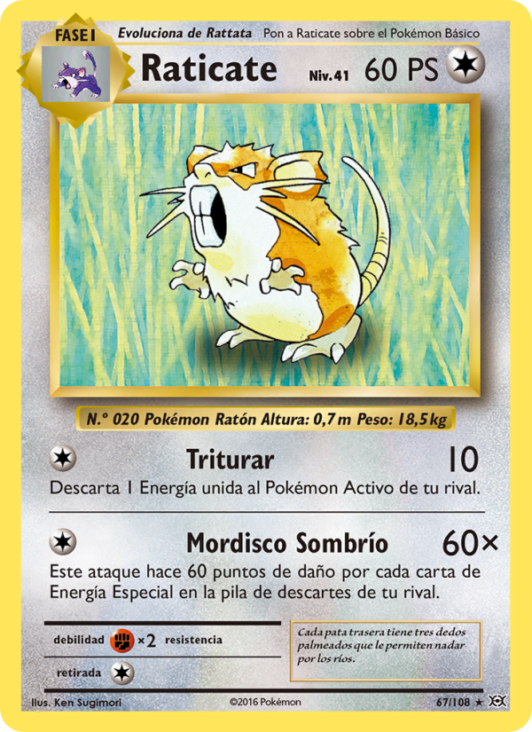 Raticate 67 — Evolutions (Spanish Pokémon TCG card)