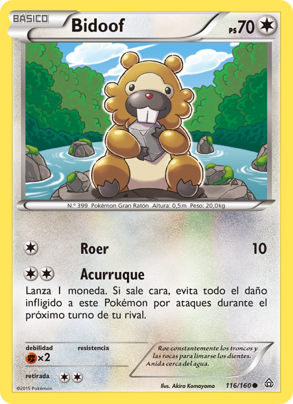 Bidoof 116 — Primal Clash (Spanish Pokémon TCG card)