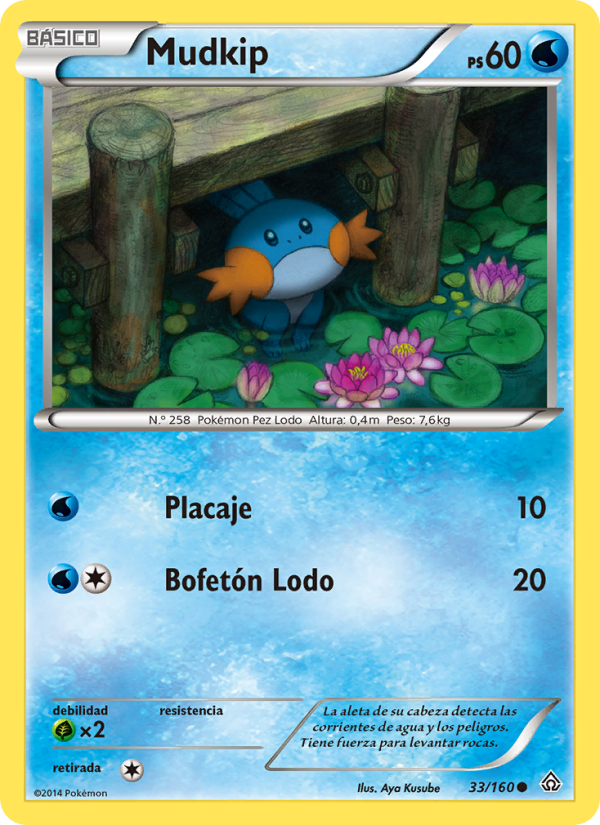 Mudkip 33 — Primal Clash (Spanish Pokémon TCG card)