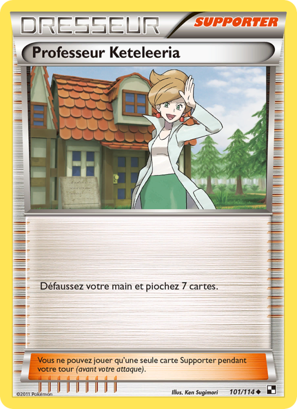 Professeur Keteleeria 101 — Black & White (French Pokémon TCG card)