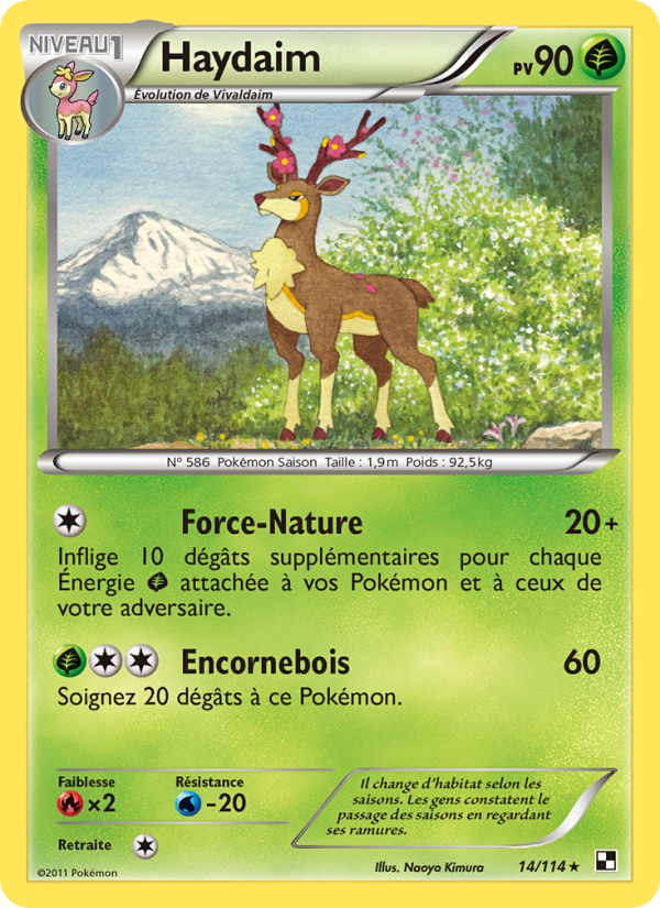 Haydaim 14 — Black & White (French Pokémon TCG card)