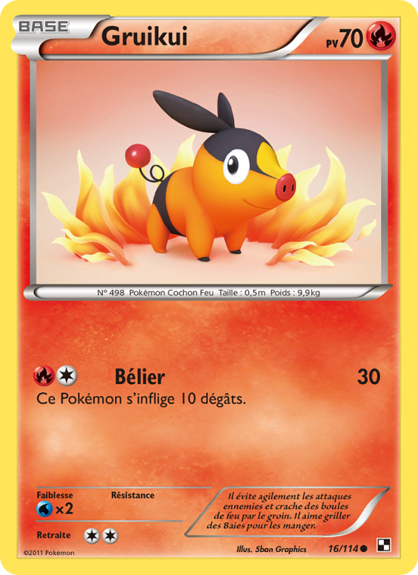 Gruikui 16 — Black & White (French Pokémon TCG card)