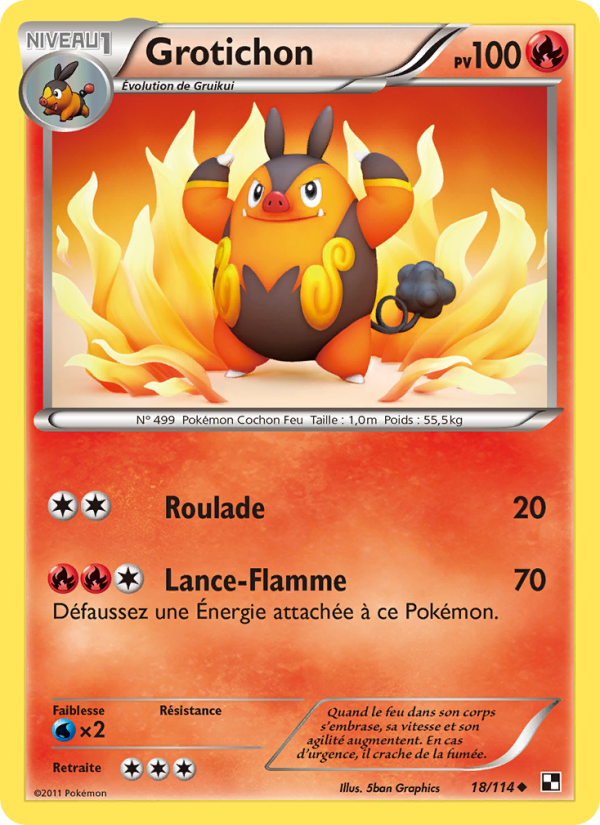 Grotichon 18 — Black & White (French Pokémon TCG card)