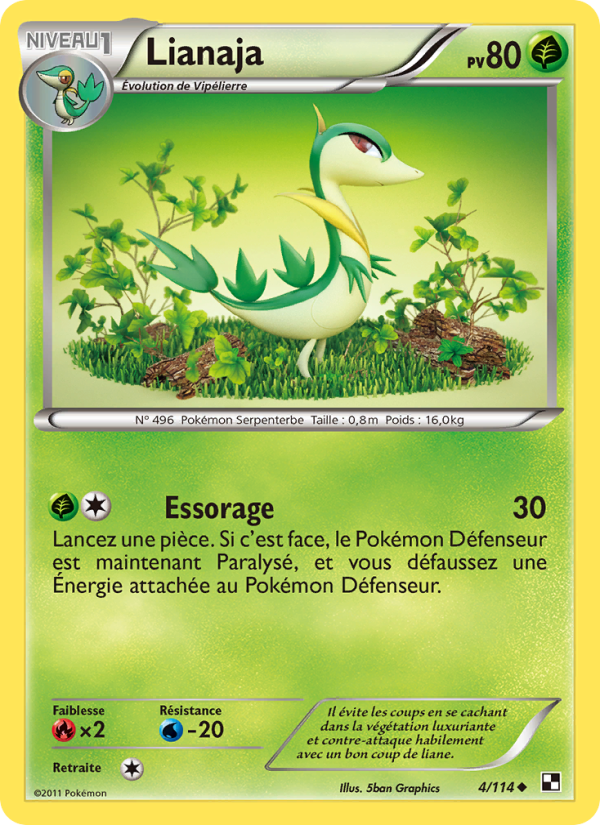 Lianaja 4 — Black & White (French Pokémon TCG card)
