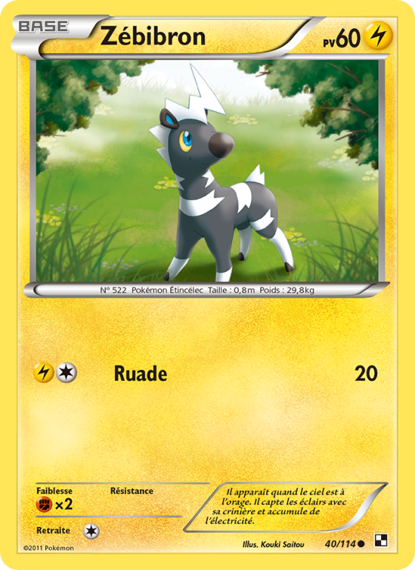 Zébibron 40 — Black & White (French Pokémon TCG card)