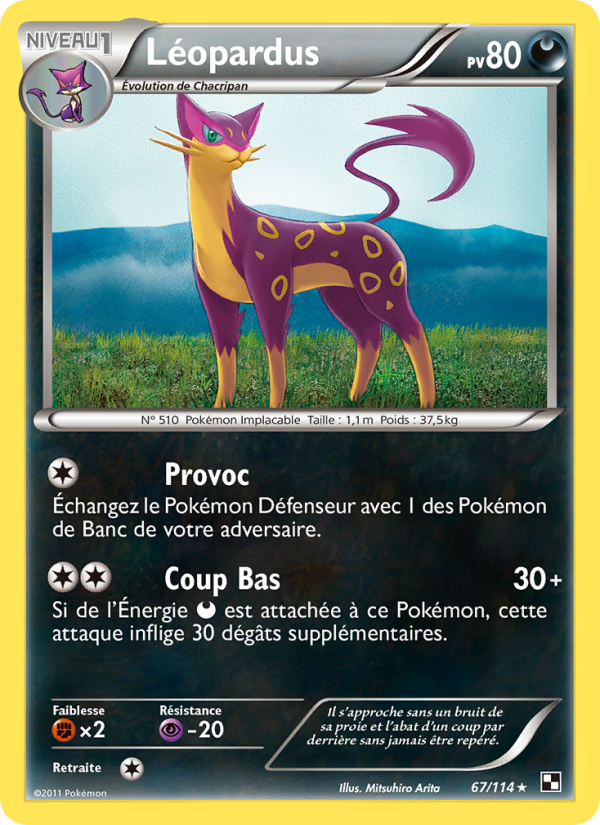 Léopardus 67 — Black & White (French Pokémon TCG card)