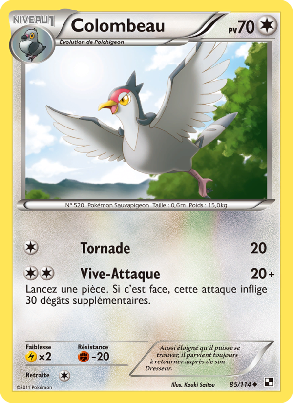 Colombeau 85 — Black & White (French Pokémon TCG card)