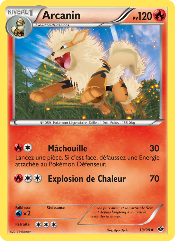 Arcanin 13 — Next Destinies (French Pokémon TCG card)