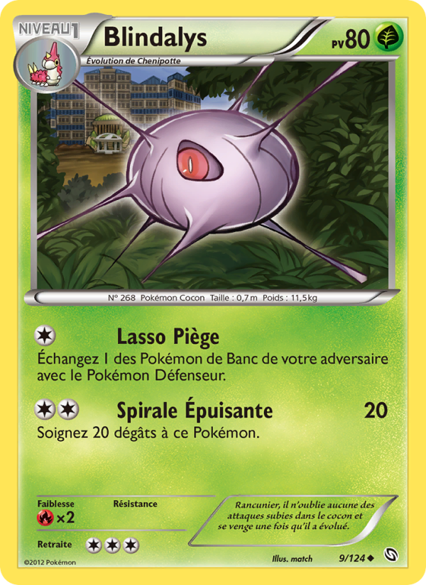 Blindalys 9 — Dragons Exalted (French Pokémon TCG card)