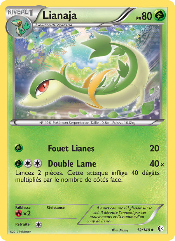 Lianaja 12 — Boundaries Crossed (French Pokémon TCG card)