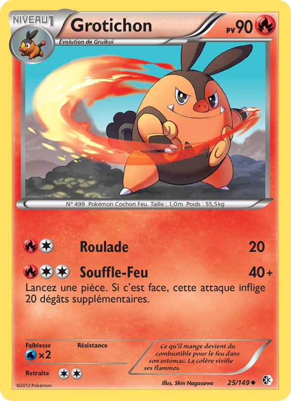 Grotichon 25 — Boundaries Crossed (French Pokémon TCG card)