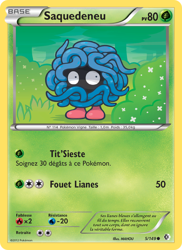 Saquedeneu 5 — Boundaries Crossed (French Pokémon TCG card)