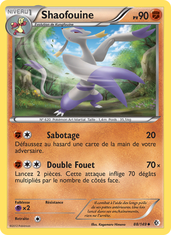 Shaofouine 88 — Boundaries Crossed (French Pokémon TCG card)