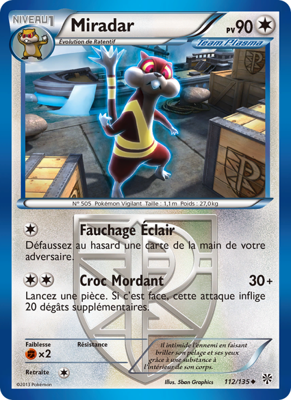Miradar 112 — Plasma Storm (French Pokémon TCG card)