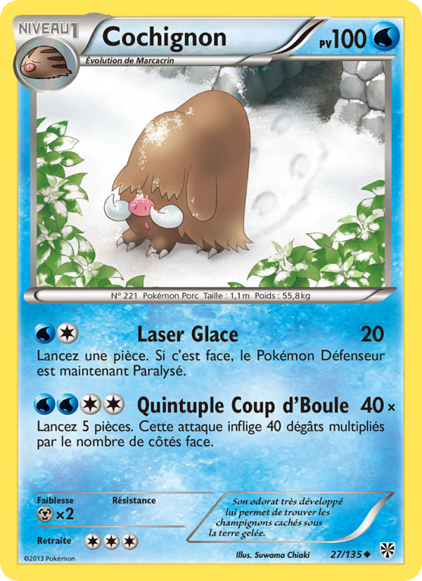 Cochignon 27 — Plasma Storm (French Pokémon TCG card)
