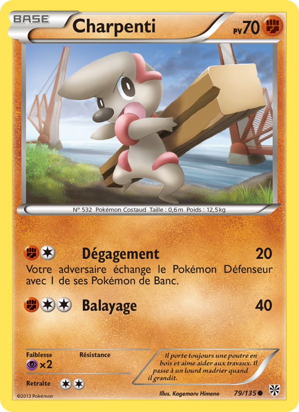 Charpenti 79 — Plasma Storm (French Pokémon TCG card)