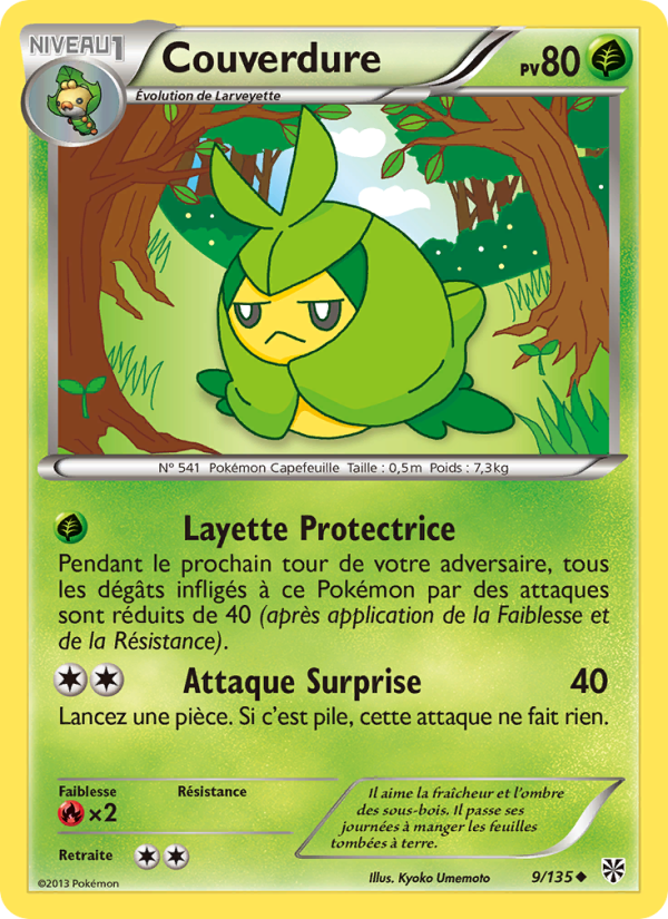 Couverdure 9 — Plasma Storm (French Pokémon TCG card)