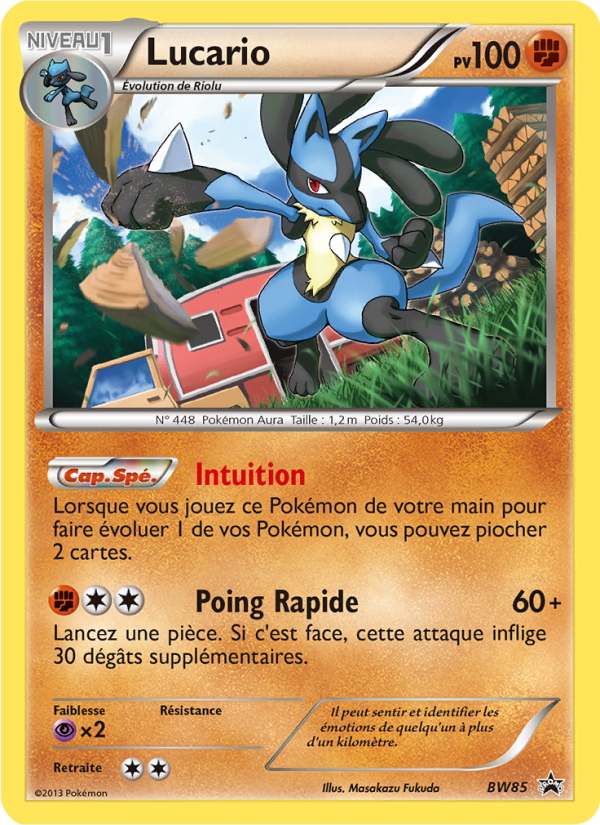 Lucario BW85 — Black & White Promos (French Pokémon TCG card)