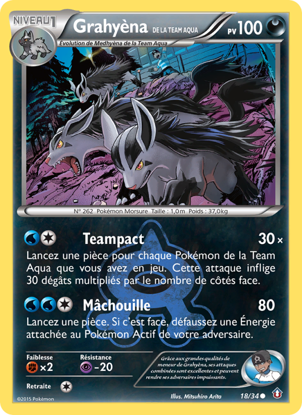 Grahyèna de la Team Aqua 18 — Double Crisis (French Pokémon TCG card)