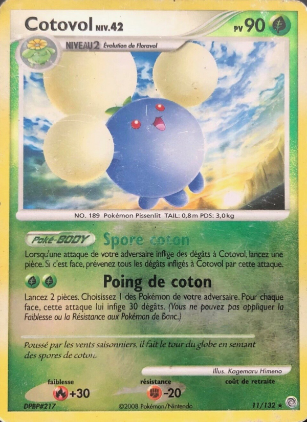Cotovol 11 — Secret Wonders (French Pokémon TCG card)