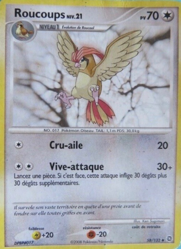 Roucoups 58 — Secret Wonders (French Pokémon TCG card)