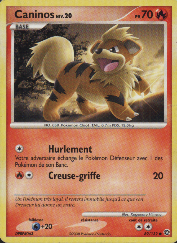 Caninos 89 — Secret Wonders (French Pokémon TCG card)