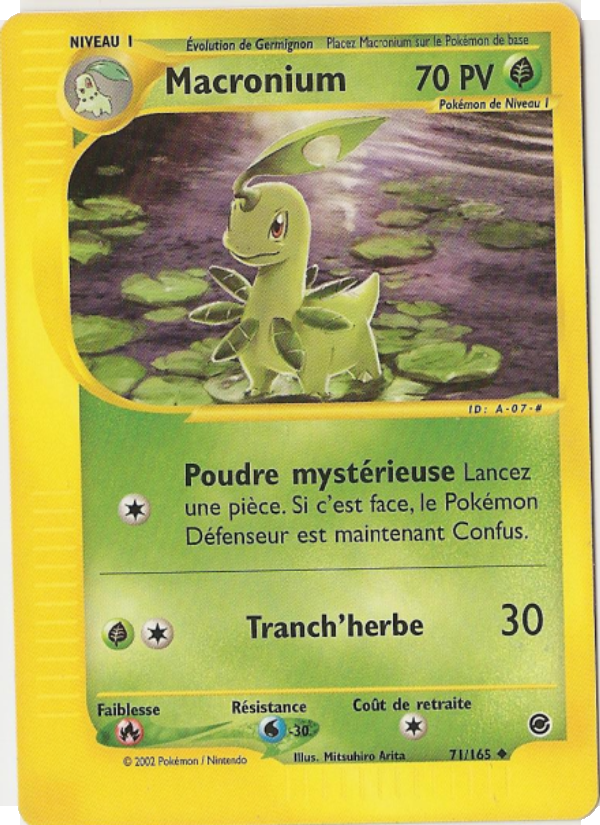 Macronium 71 — Expedition Base Set (French Pokémon TCG card)