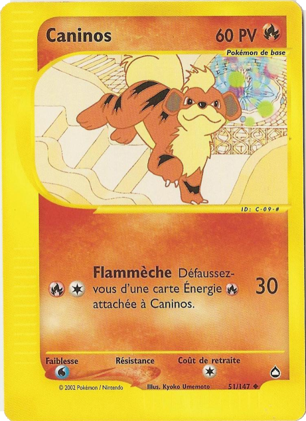 Caninos 51 — Aquapolis (French Pokémon TCG card)