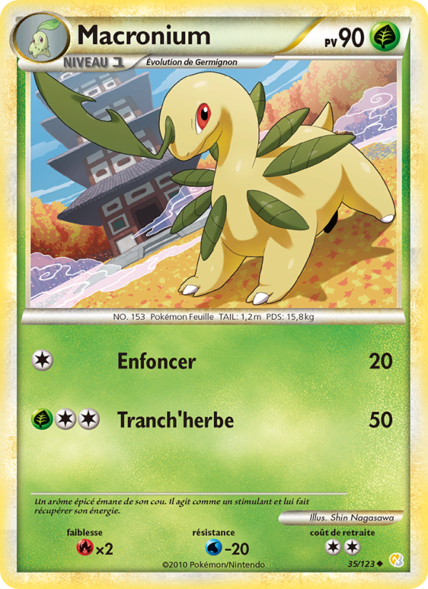Macronium 35 — HeartGold SoulSilver (French Pokémon TCG card)
