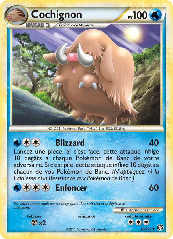 Cochignon 48 — Triumphant (French Pokémon TCG card)