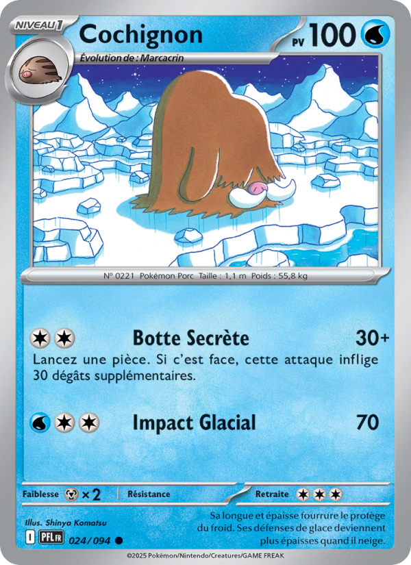 Cochignon 024 — Phantasmal Flames (French Pokémon TCG card)