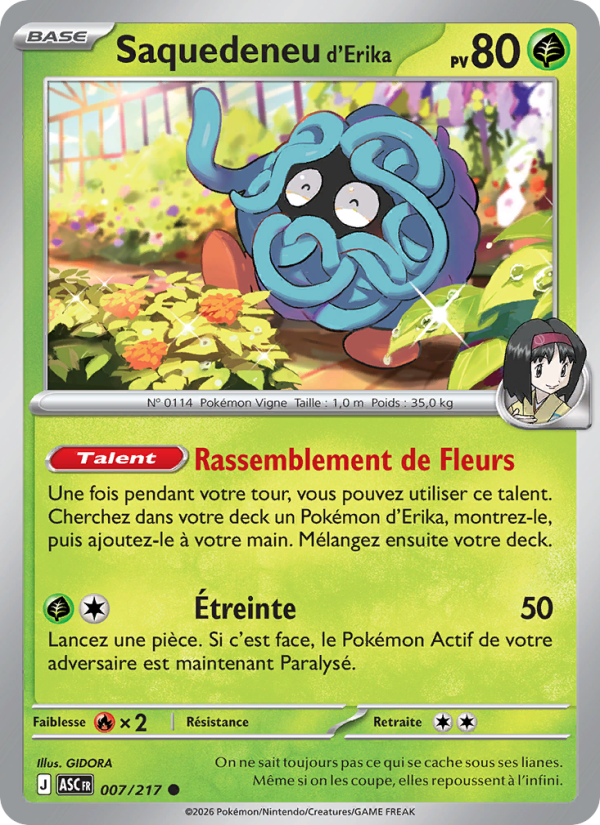 Saquedeneu d'Erika 007 — Erhabene Helden (French Pokémon TCG card)