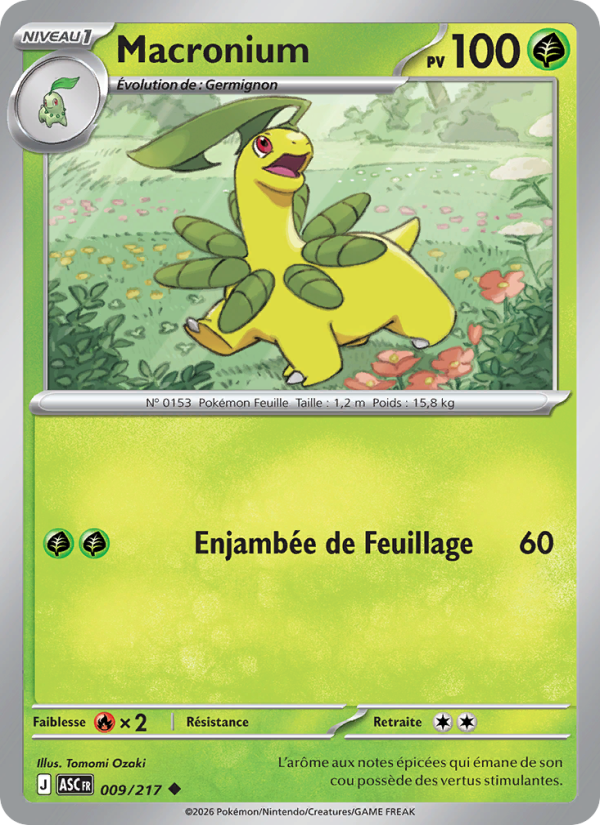 Macronium 009 — Erhabene Helden (French Pokémon TCG card)