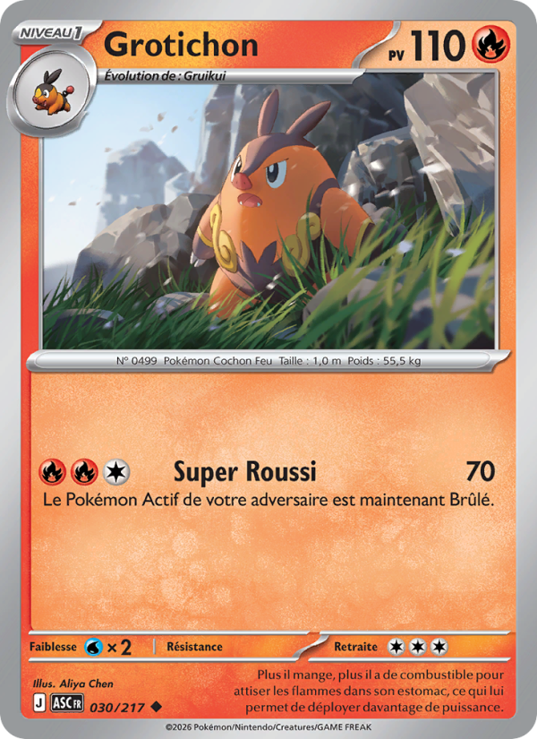 Grotichon 030 — Erhabene Helden (French Pokémon TCG card)