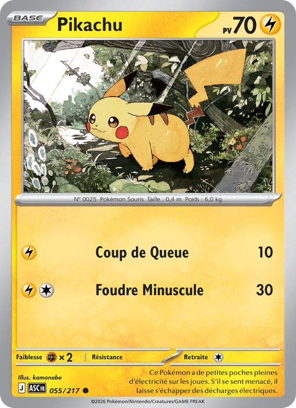 Pikachu 055 — Erhabene Helden (French Pokémon TCG card)