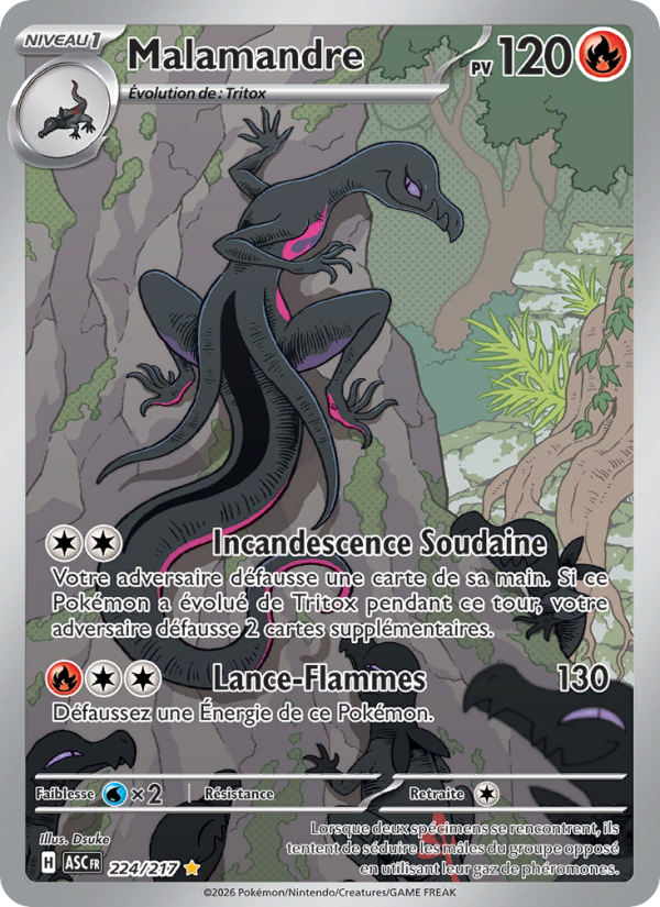 Malamandre 224 — Erhabene Helden (French Pokémon TCG card)
