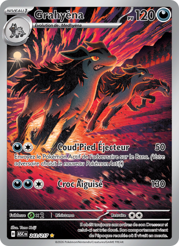 Grahyèna 243 — Erhabene Helden (French Pokémon TCG card)