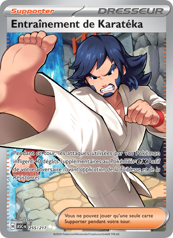 Entraînement de Karatéka 255 — Erhabene Helden (French Pokémon TCG card)