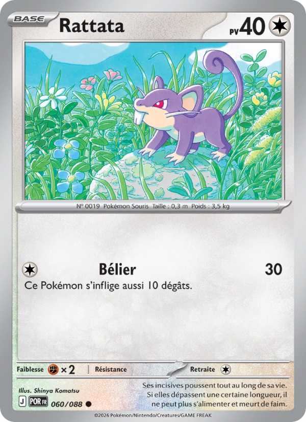 Rattata 060 — Optimale Ordnung (French Pokémon TCG card)