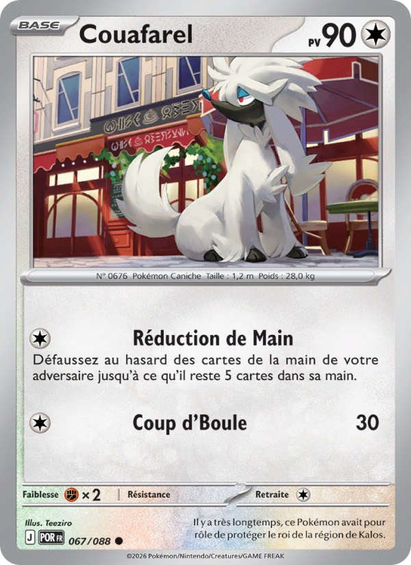 Couafarel 067 — Optimale Ordnung (French Pokémon TCG card)