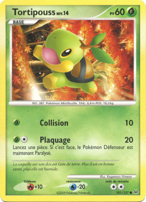 Tortipouss 101 — Platinum (French Pokémon TCG card)