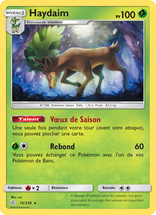Haydaim 16 — Cosmic Eclipse (French Pokémon TCG card)